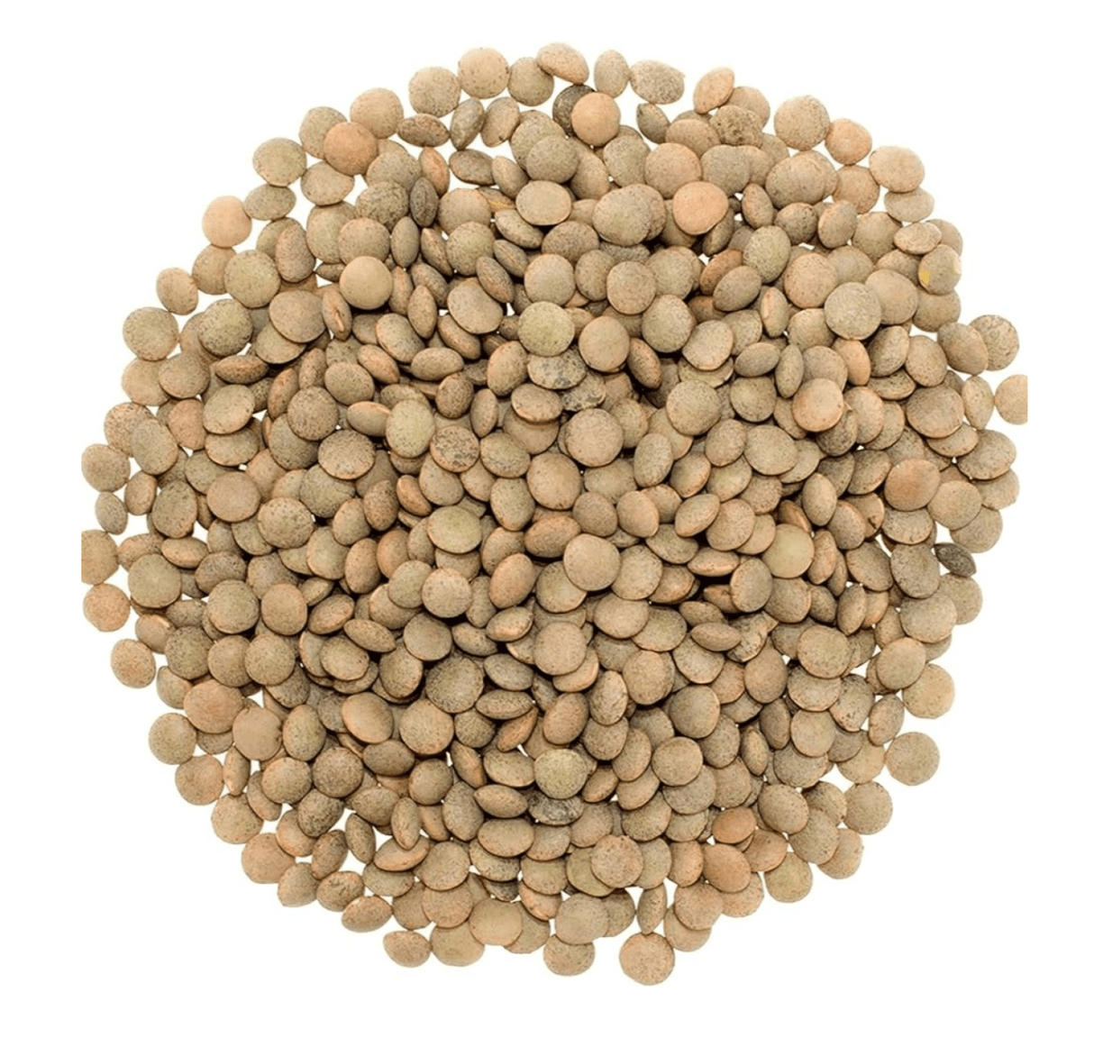 Syrian Green Lentils 15Kg | عدس اخضر سوري