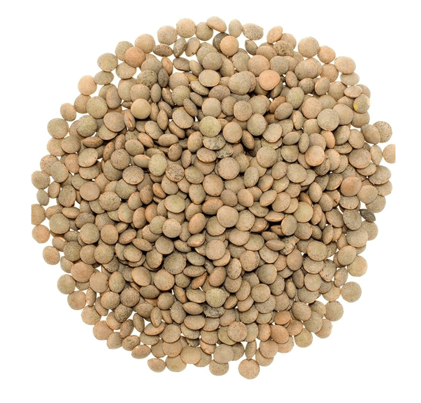 Syrian Green Lentils 15Kg | عدس اخضر سوري