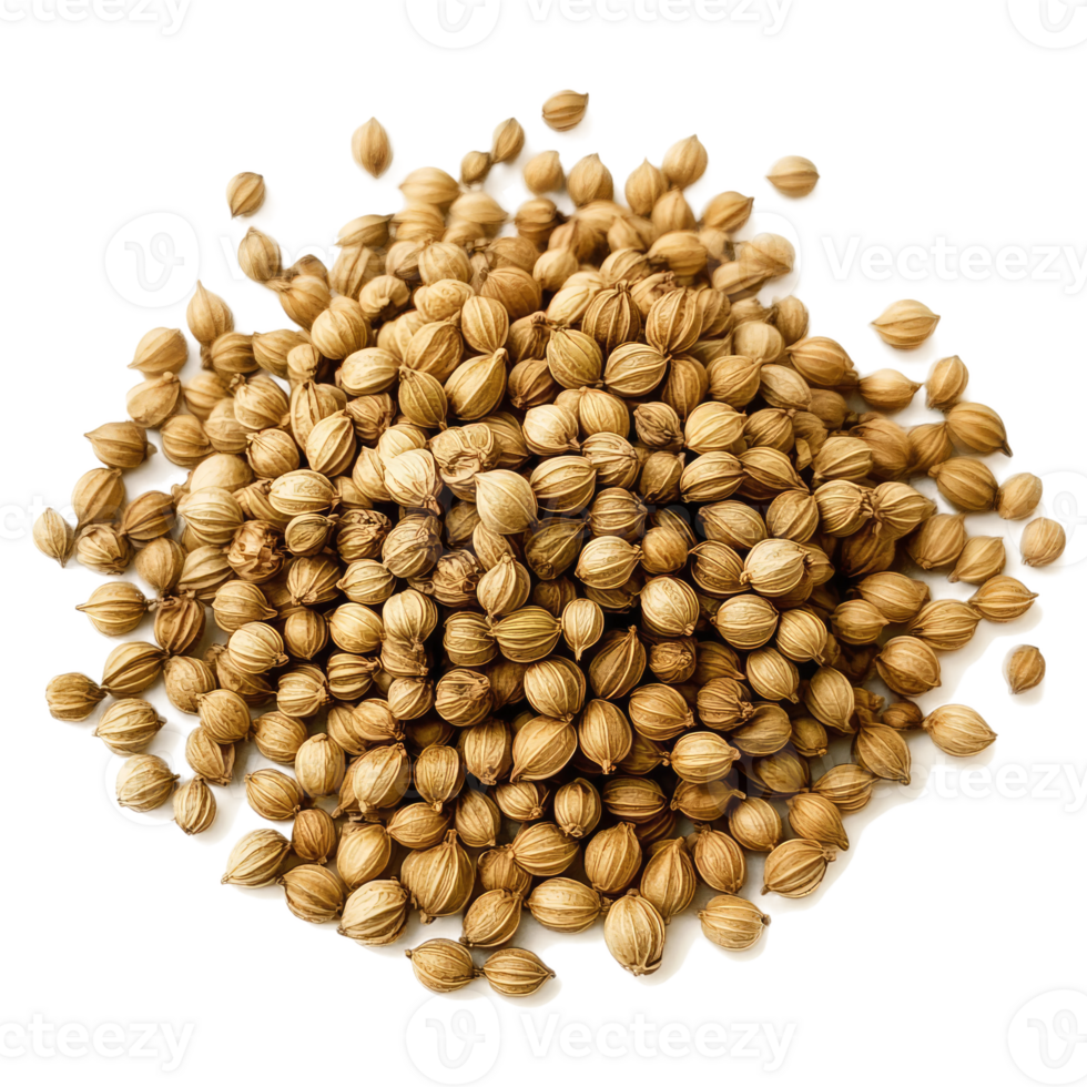 Coriander Seeds 20Kg
