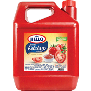 Hello Regular Ketchup 4.80 Kg - 2kShopping