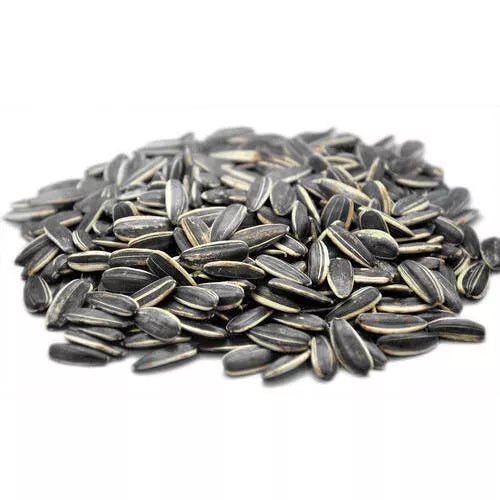 Sunflower Seeds Roasted Salt 1Kg | بزر دوار الشمس مملح