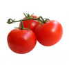 Tomato Lebanon 5Kg | طماطم معلقة لبناني