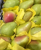Pears Lebanon 5Kg | اجاص لبناني