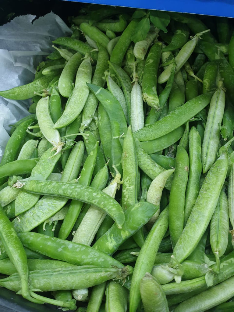 Green Peas (by air) Lebanon 5Kg | بازيلاء خضراء لبناني